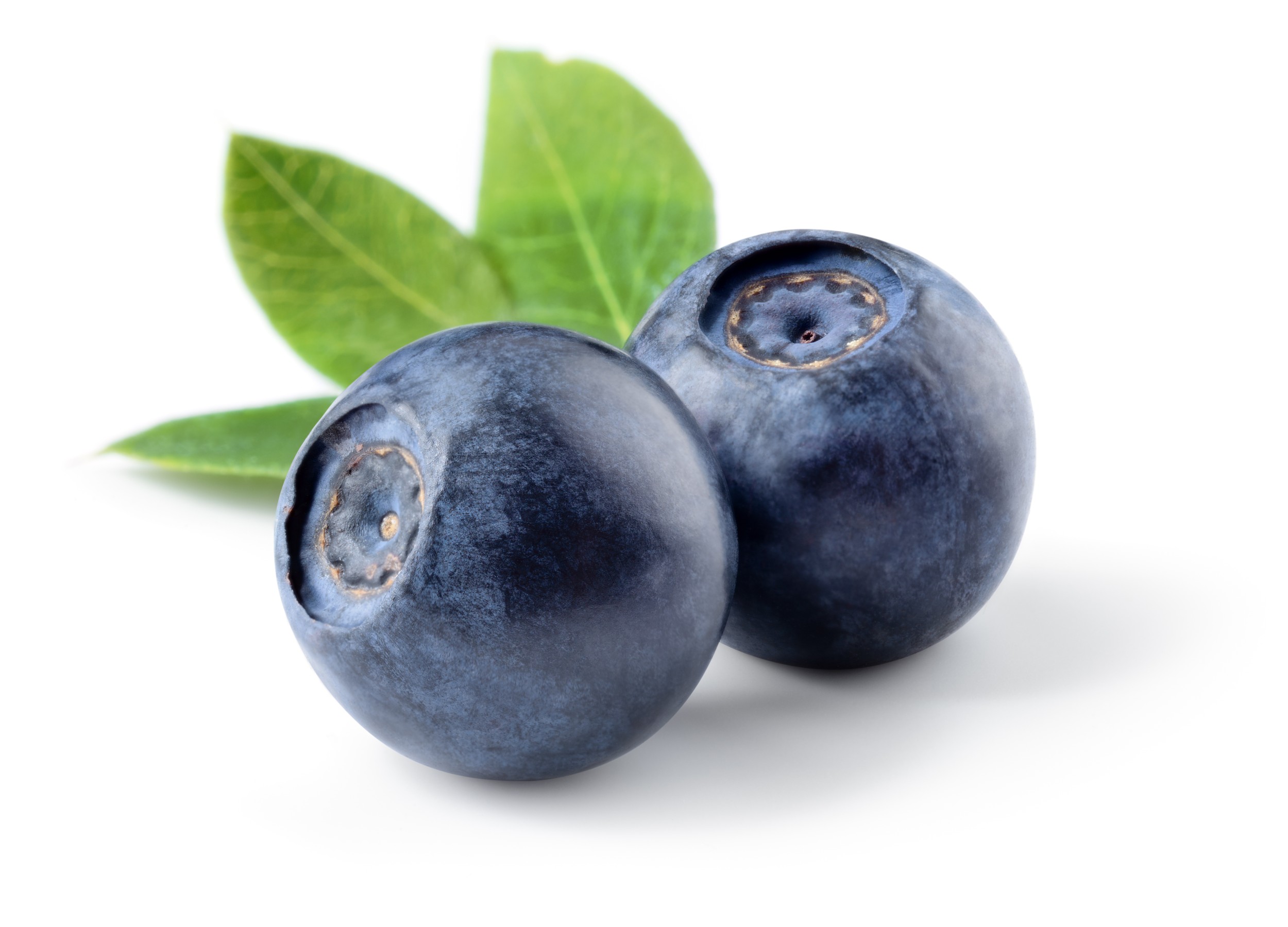 Blueberries