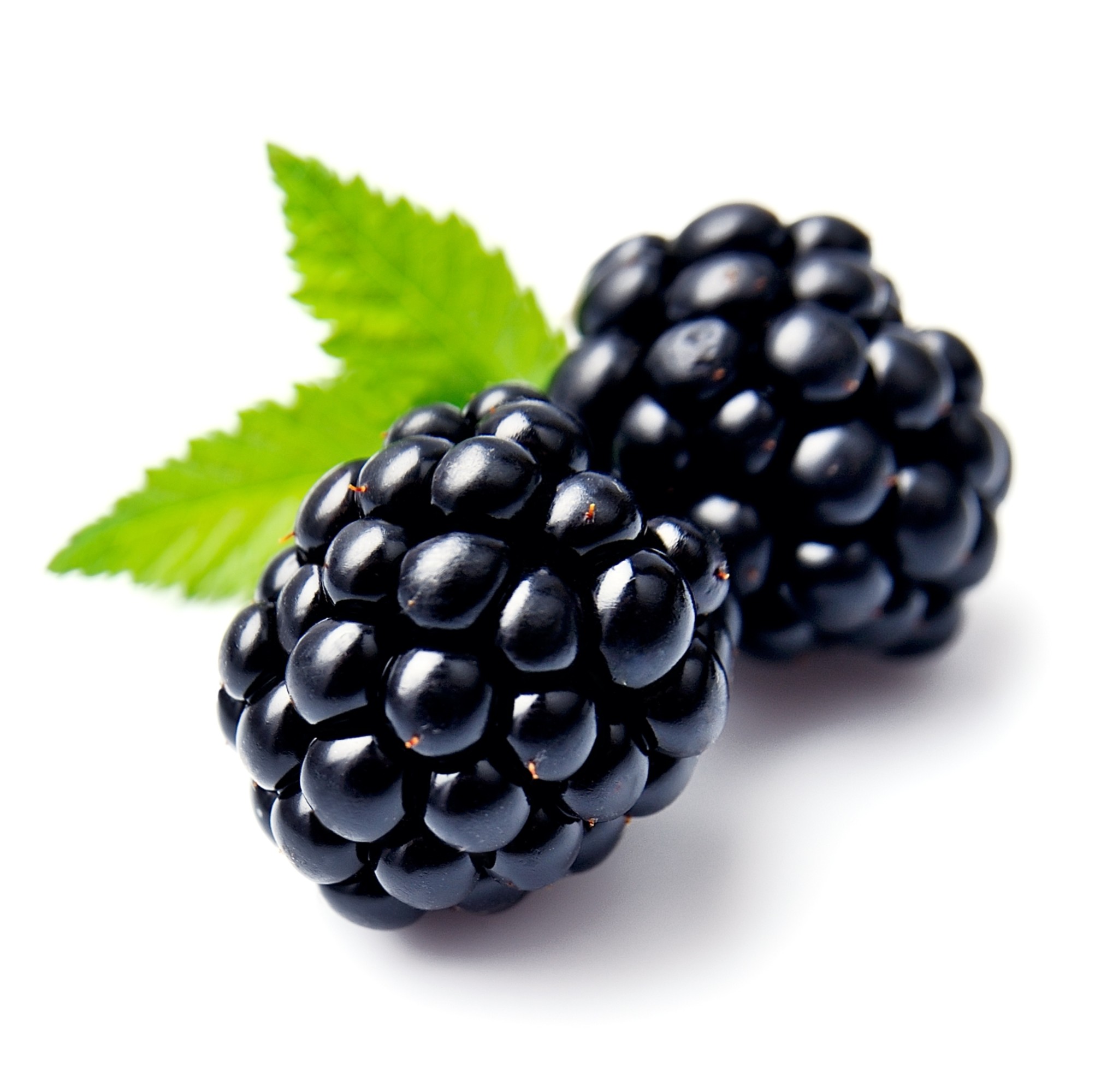 Blackberries