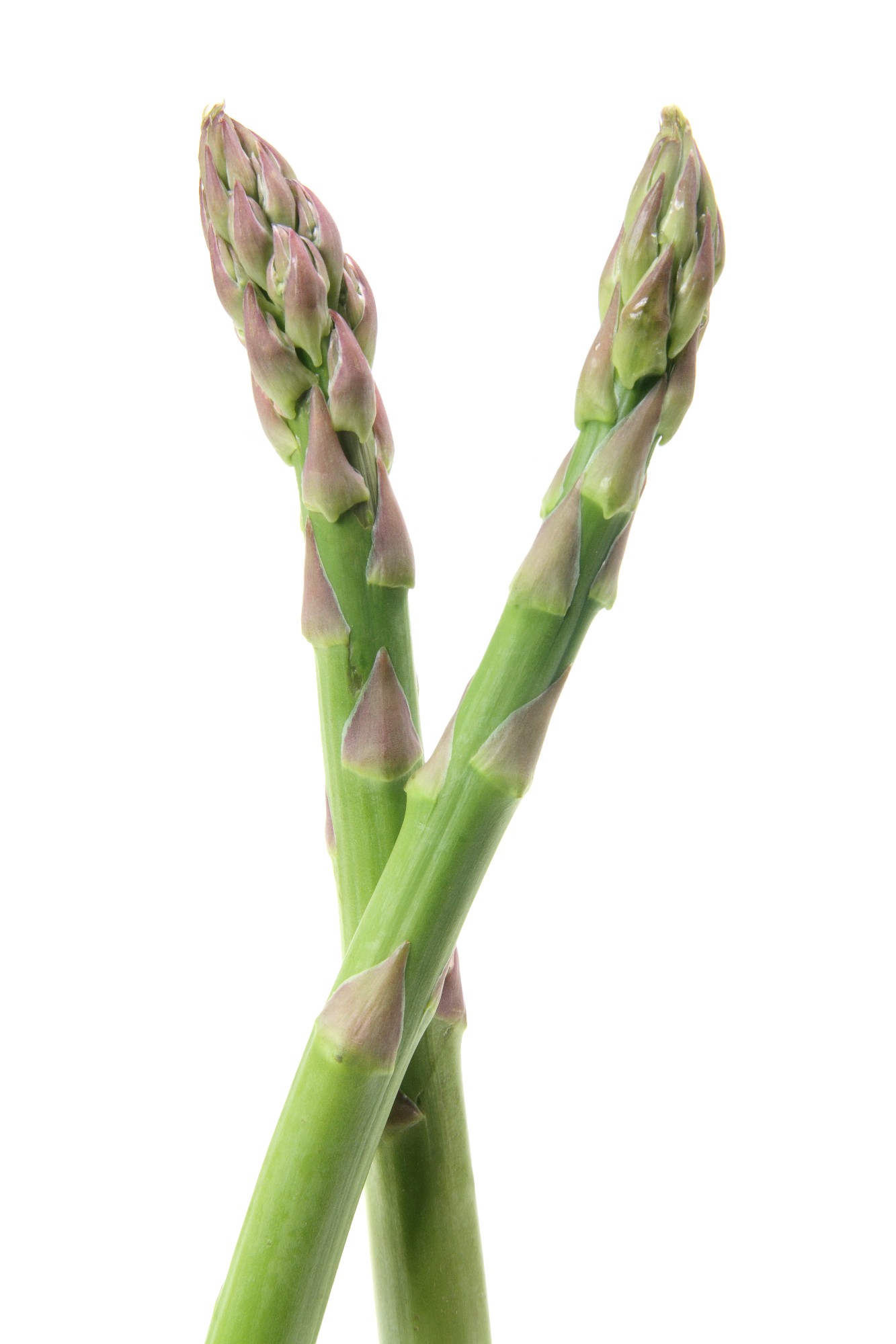 Asparagus