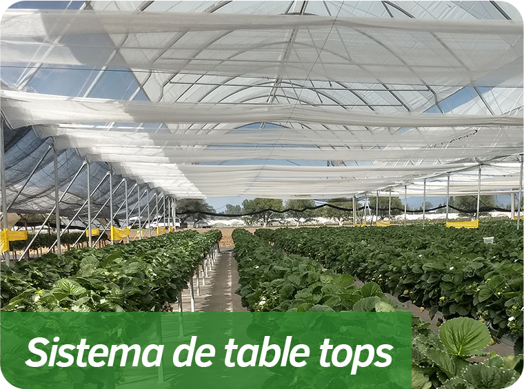 Sistema de table tops